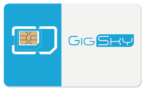 GigSkySIMカード画像