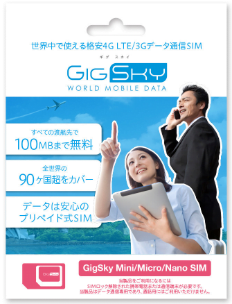 GigSkySIMパッケージ画像