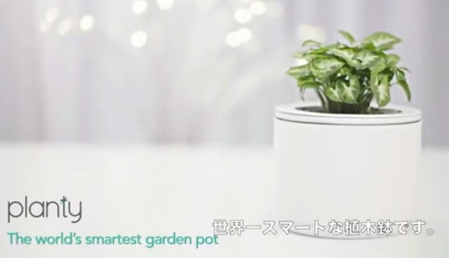 planty スマホで水やりを管理できるスマート植木鉢登場！トップ画像