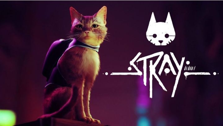 愛くるしさに癒される！猫が主役のインディーゲーム『Stray』について